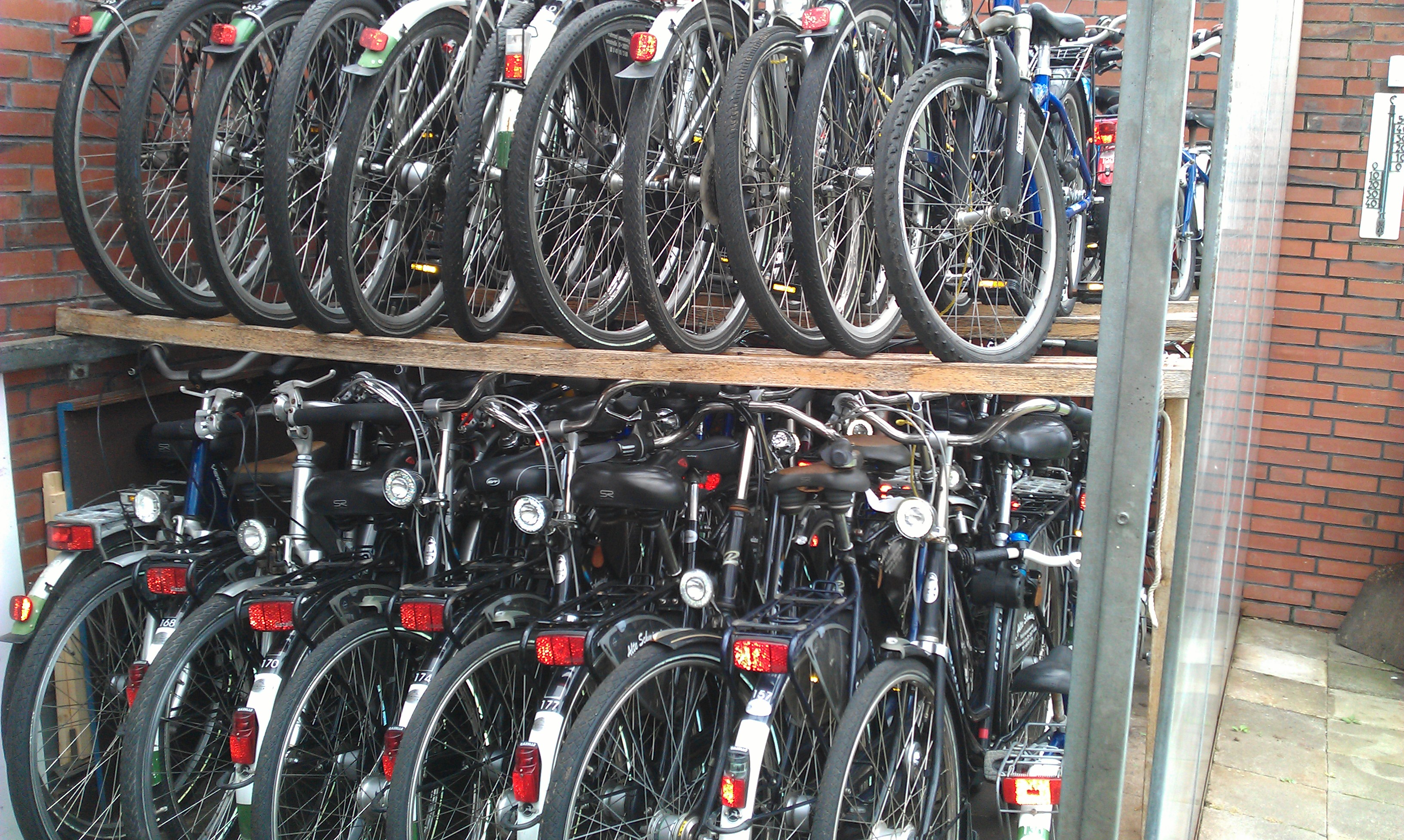 Pisikletlerim,  winter yatiyorlar